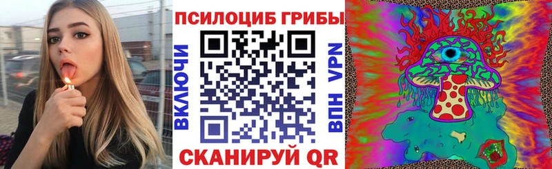 Галлюциногенные грибы Cubensis  Ельня 